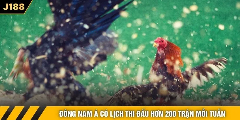 Đông Nam Á có lịch thi đấu hơn 200 trận mỗi tuần