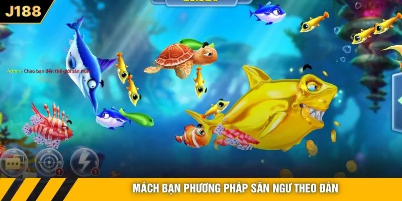 Mách bạn phương pháp săn ngư theo đàn