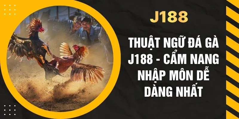 Thuật Ngữ Đá Gà J188 - Cẩm Nang Nhập Môn Dễ Dàng Nhất